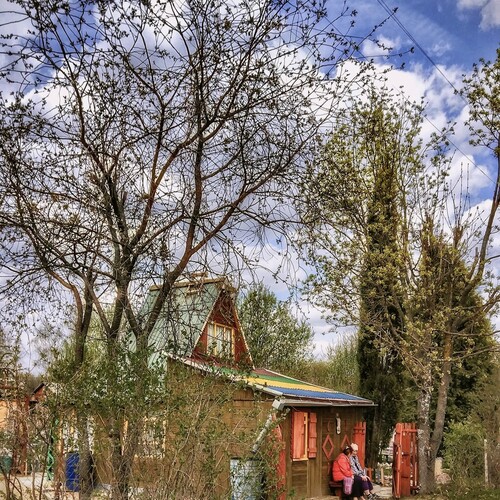 Photo #13902292