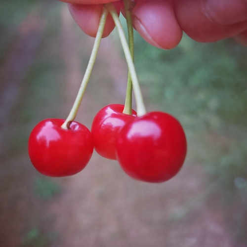 Photo #13902314