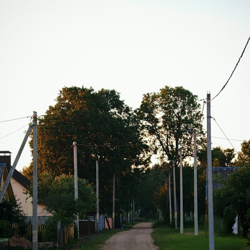 Photo #13902317