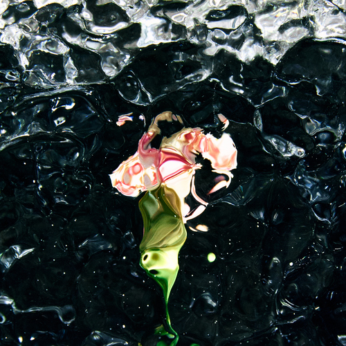 Photo #13902339