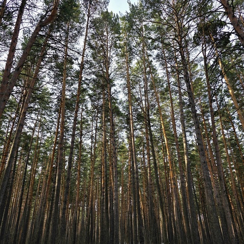 Photo #13902414