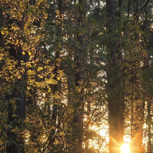 Photo #13902431
