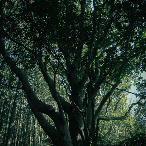 Photo #13902433
