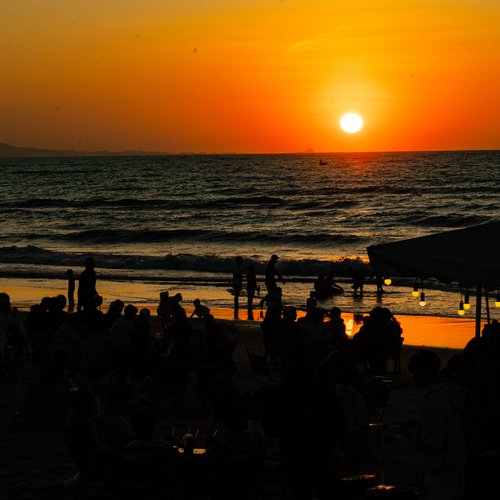 Photo #13902509