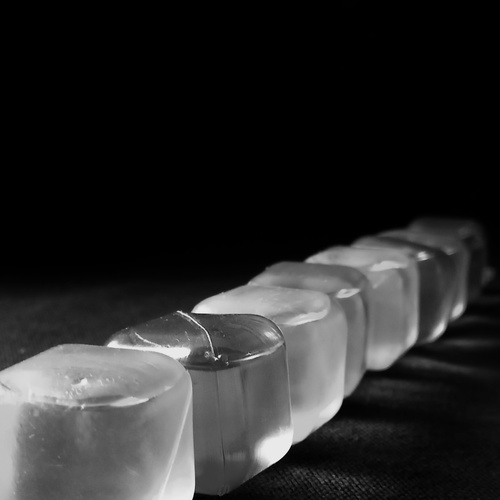 Photo #13902566