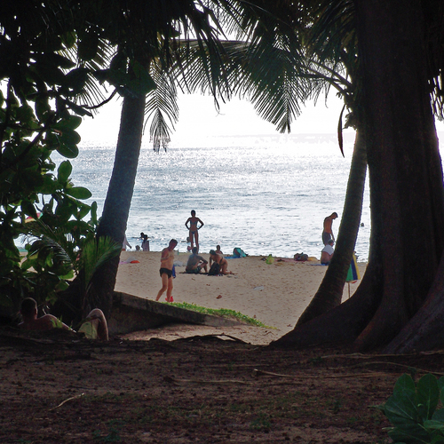 Photo #13902587