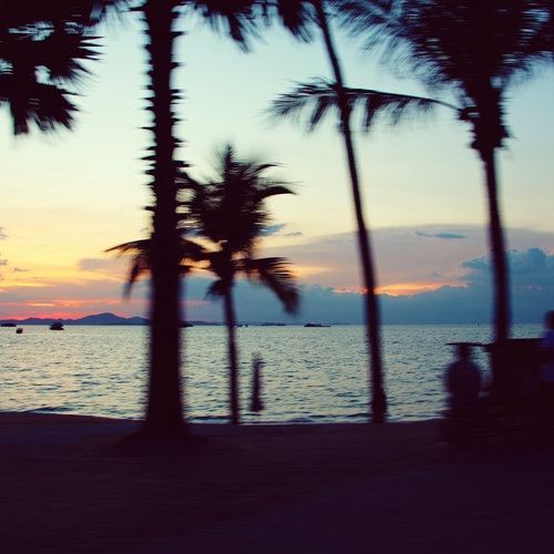 Photo #13902597