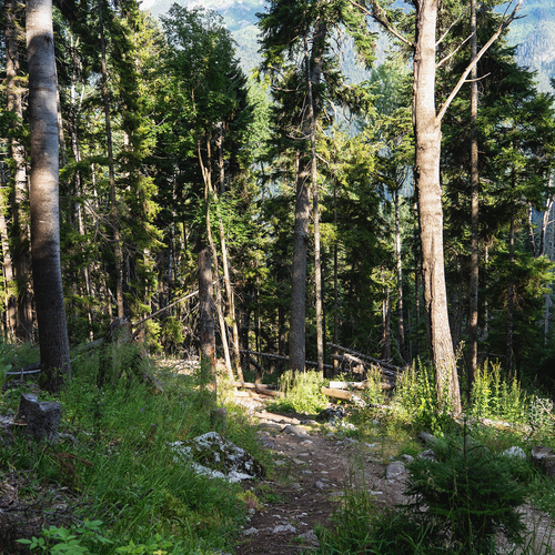 Photo #13902649
