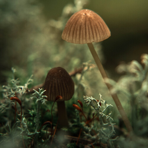 Photo #13902664