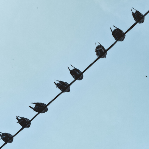 Photo #13902698