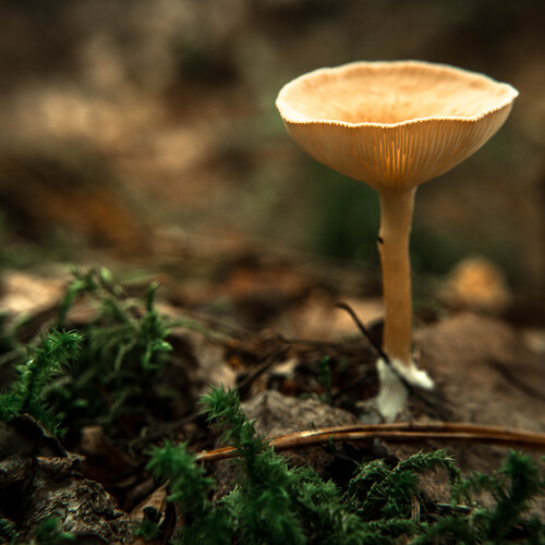 Photo #13902738