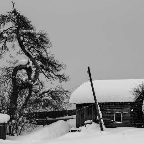 Photo #13903009