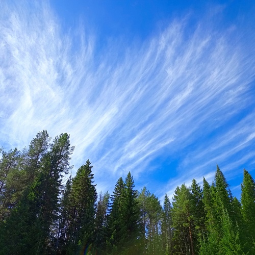 Photo #13903115