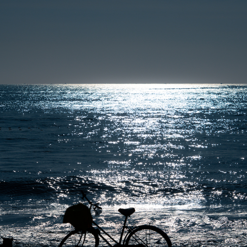 Photo #13903162