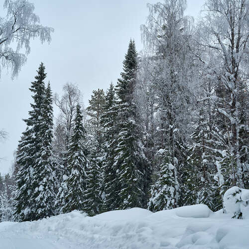 Photo #13903174
