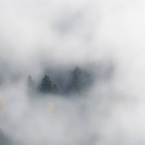 Photo #13903186