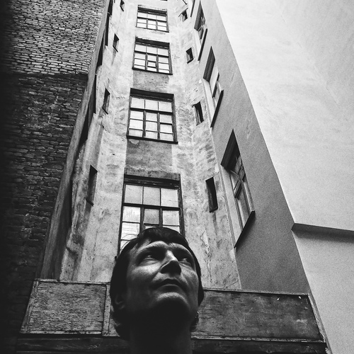 Photo #13903246