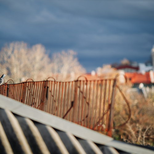 Photo #13903267