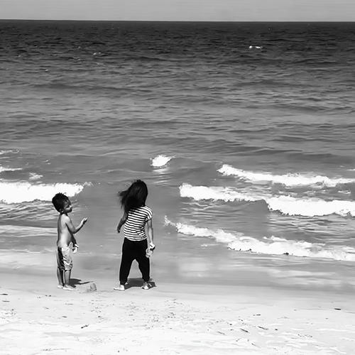 Photo #13903328