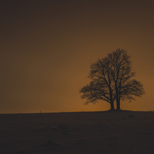 Photo #13903330