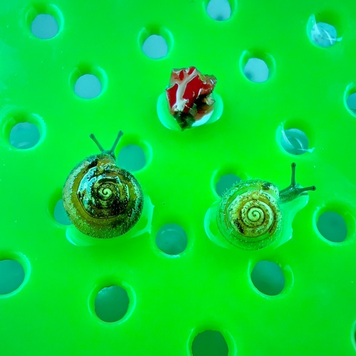 Photo #13903447