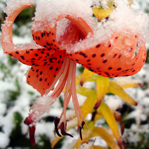 Photo #13903450