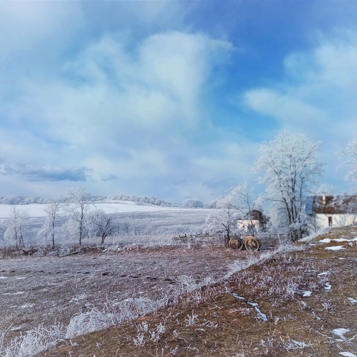 Photo #13903473