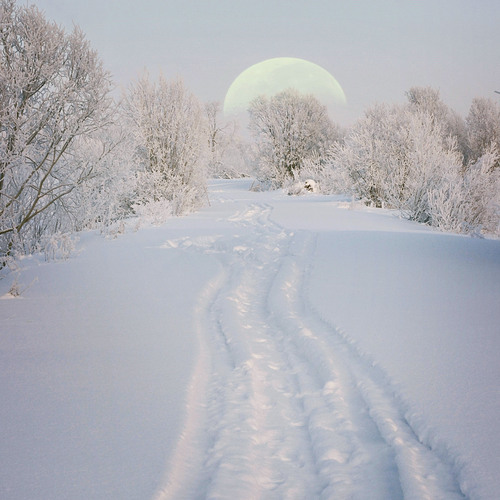 Photo #13903501