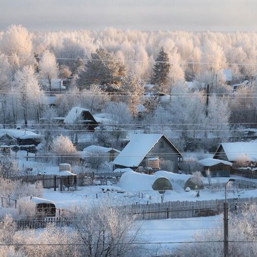 Photo #13903505