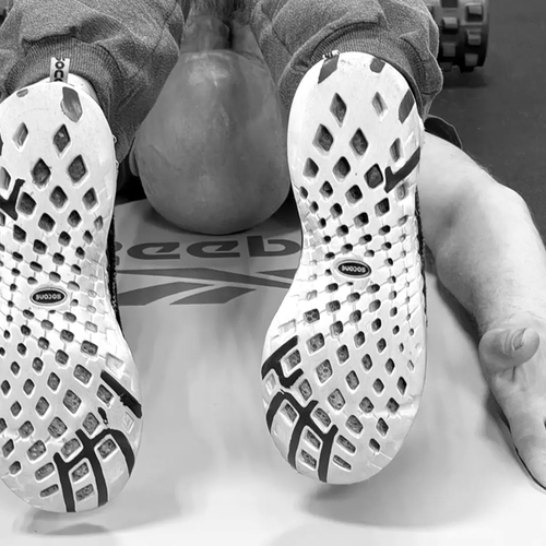 Photo #13903548