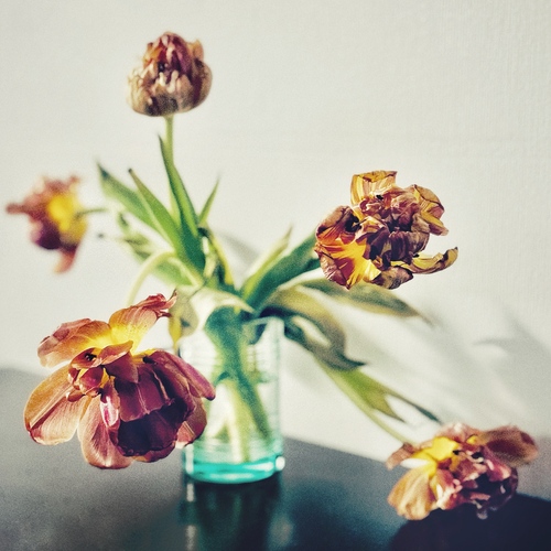 Photo #13903717