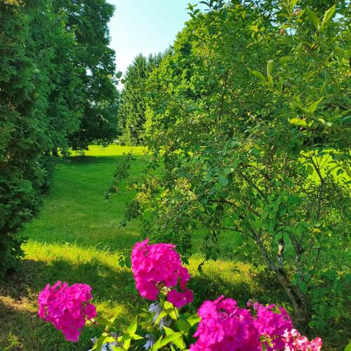 Photo #13903752