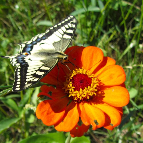 Photo #13903826