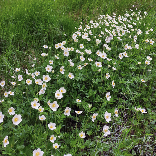 Photo #13903840