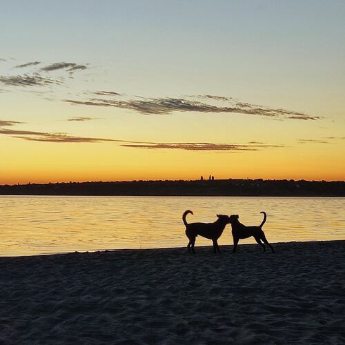 Photo #13903856