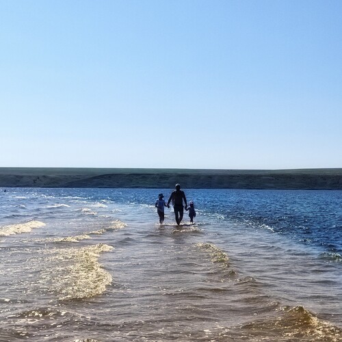 Photo #13903857