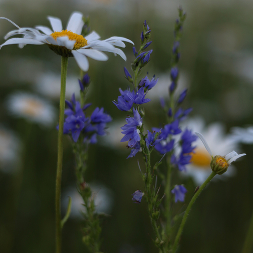 Photo #13903861