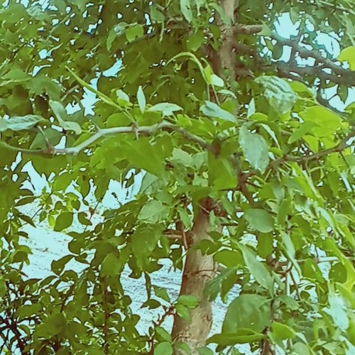 Photo #13903890