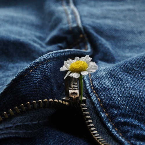 Photo #13903958