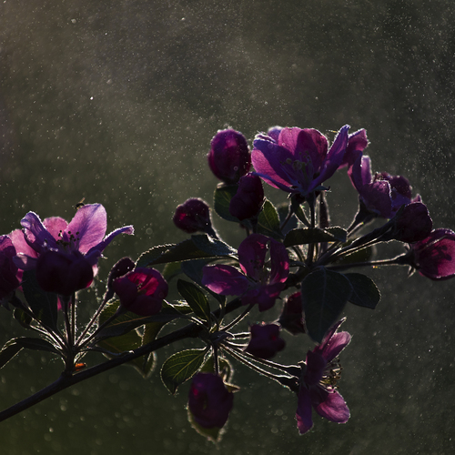Photo #13903969