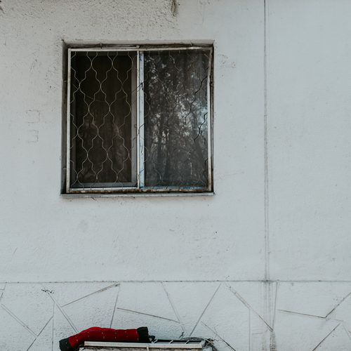 Photo #13903975