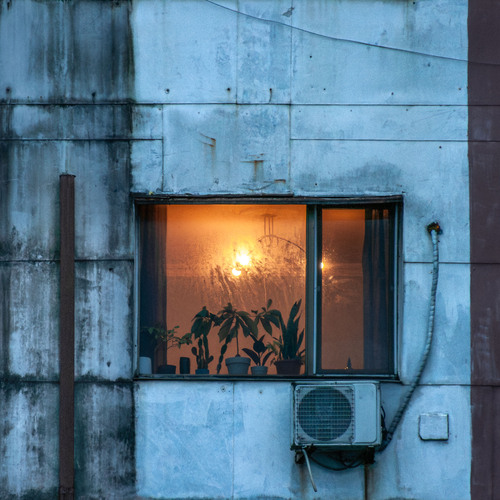 Photo #13904102