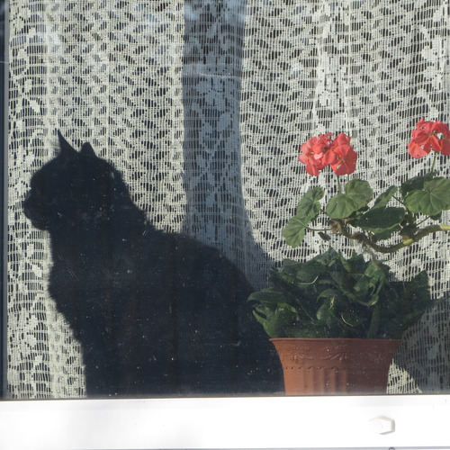 Photo #13904109