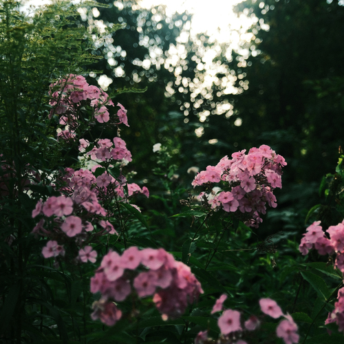 Photo #13904148