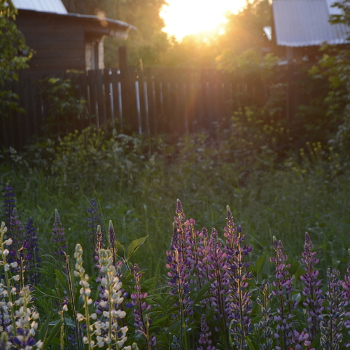 Photo #13904403
