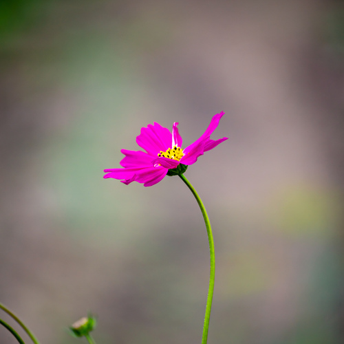 Photo #13904427