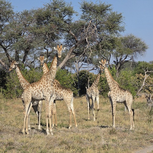 Photo #13904558