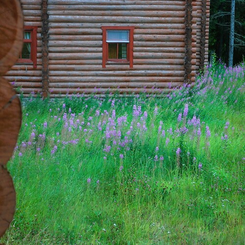 Фотография #13904698