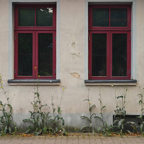 Photo #13904770