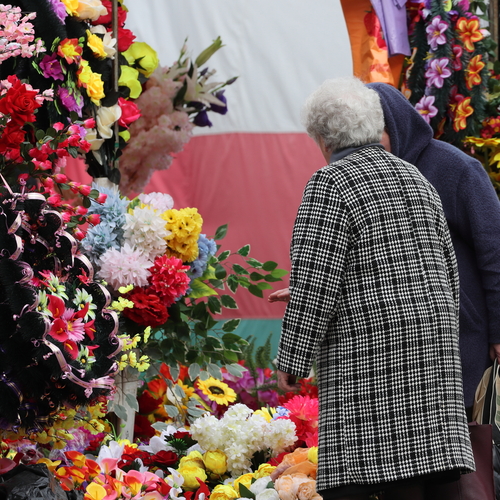 Photo #13904820